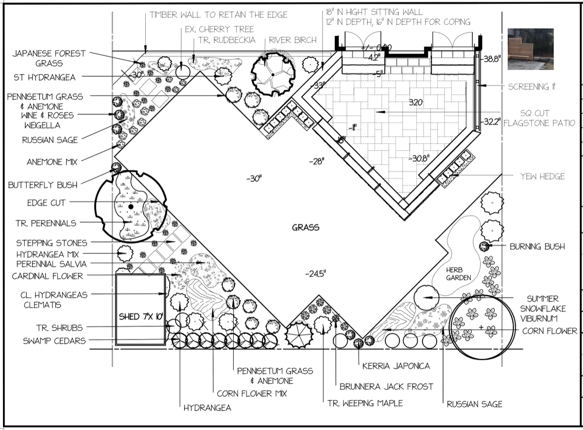 Backyard - Design Proposal