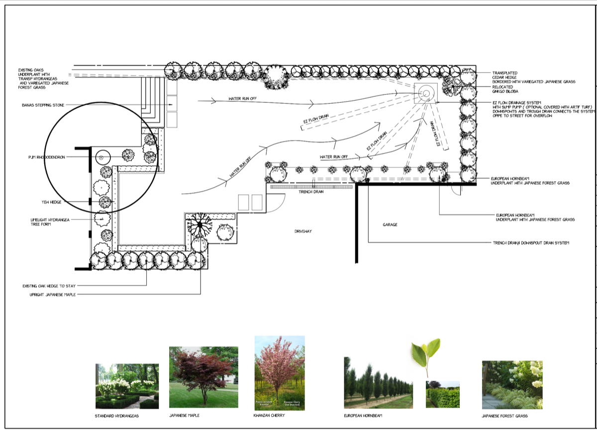 Backyard - Design Proposal