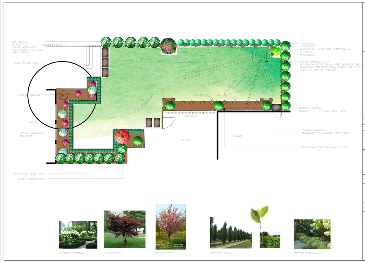 Backyard - Design Proposal